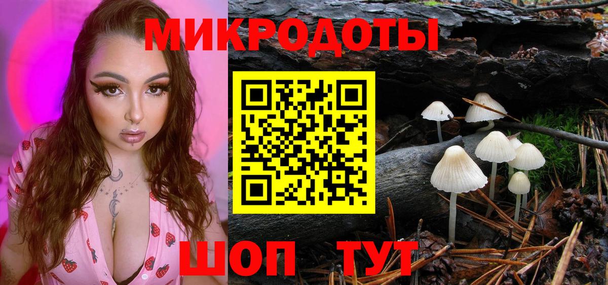 Галлюциногенные грибы Cubensis Мурманск