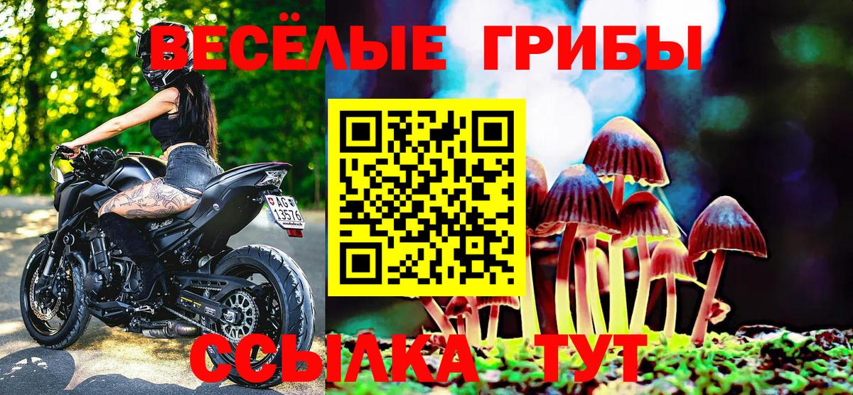 Галлюциногенные грибы Magic Shrooms  Вход с VPN  Мурманск 